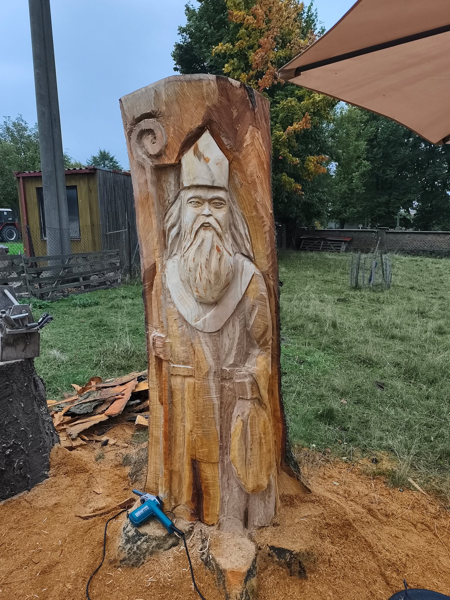 Postava vyřezaná do kmene
